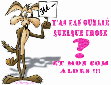 salut je vous dit  le bébé!!.