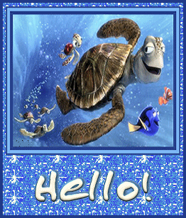 hollo!